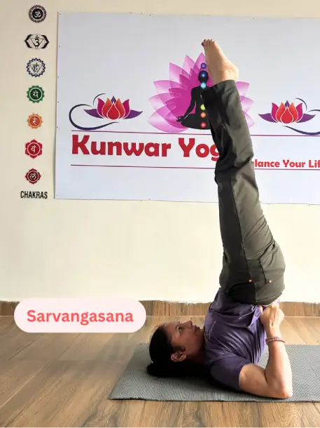 advance yoga classes in dehradun