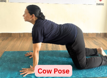 Mindful Transformation