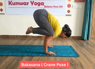 Mindful Transformation