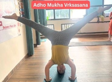 Mindful Transformation