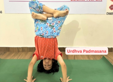 Mindful Transformation