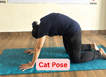 Mindful Transformation